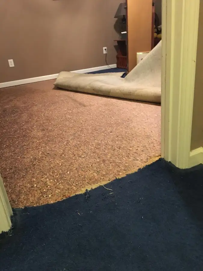 Carpet pad removal revealing water damage during Drying & Dehumidification in Rosedale