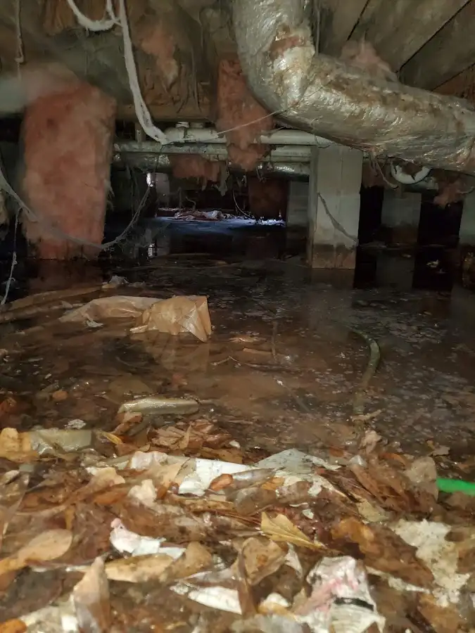Crawl space flood assessment for Leak Detection & Repair in Rosedale